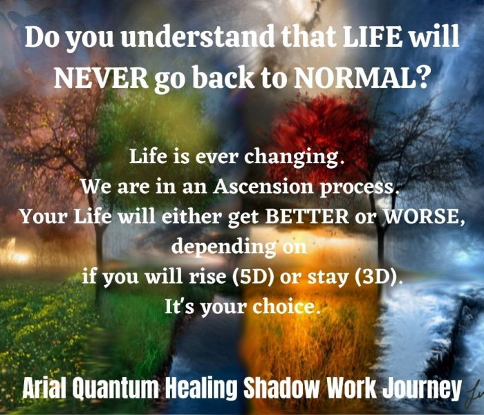 NEVER NORMAL AGAIN